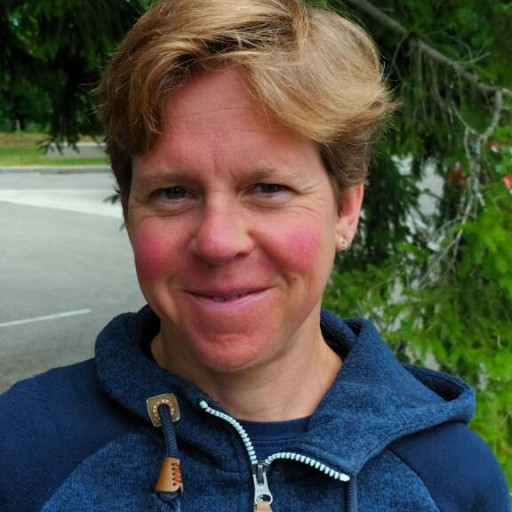 Anne Godineau